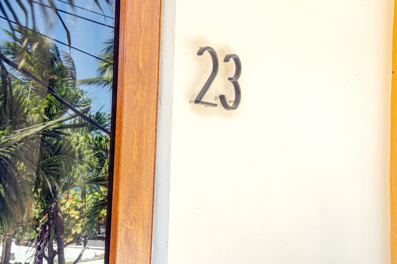 Eingang von Nummer 23 mit Palmen, die sich in der Scheibe spiegeln